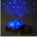 Világító teknős (éjszakai fény, különböző színekben)